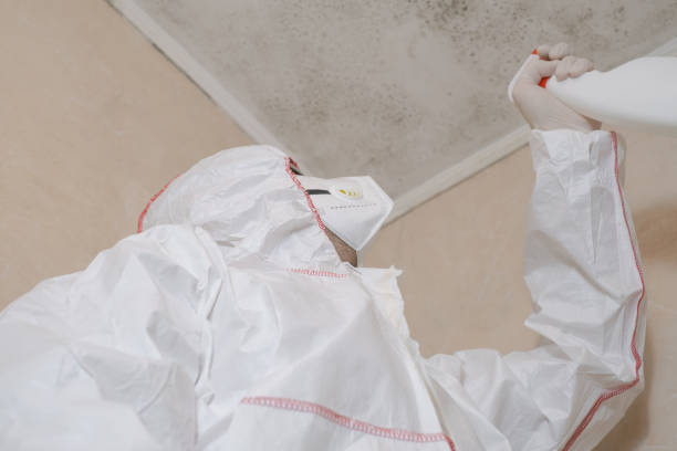 Best Mold Removal for HVAC Installations  in Dalhart, TX